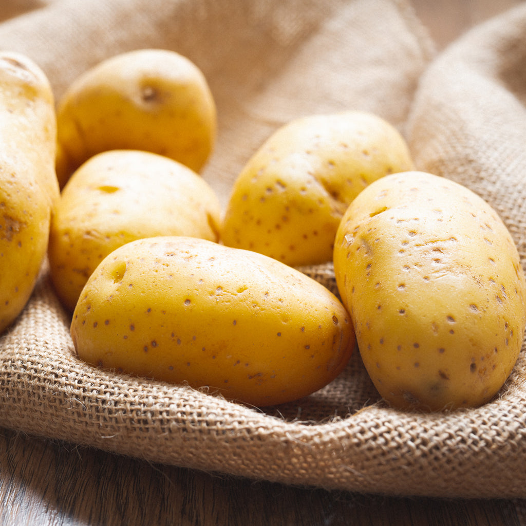 Diagramm zur Veranschaulichung von Bonusbedingungen und Umsatzberechnungen