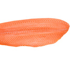 Organic Salmon