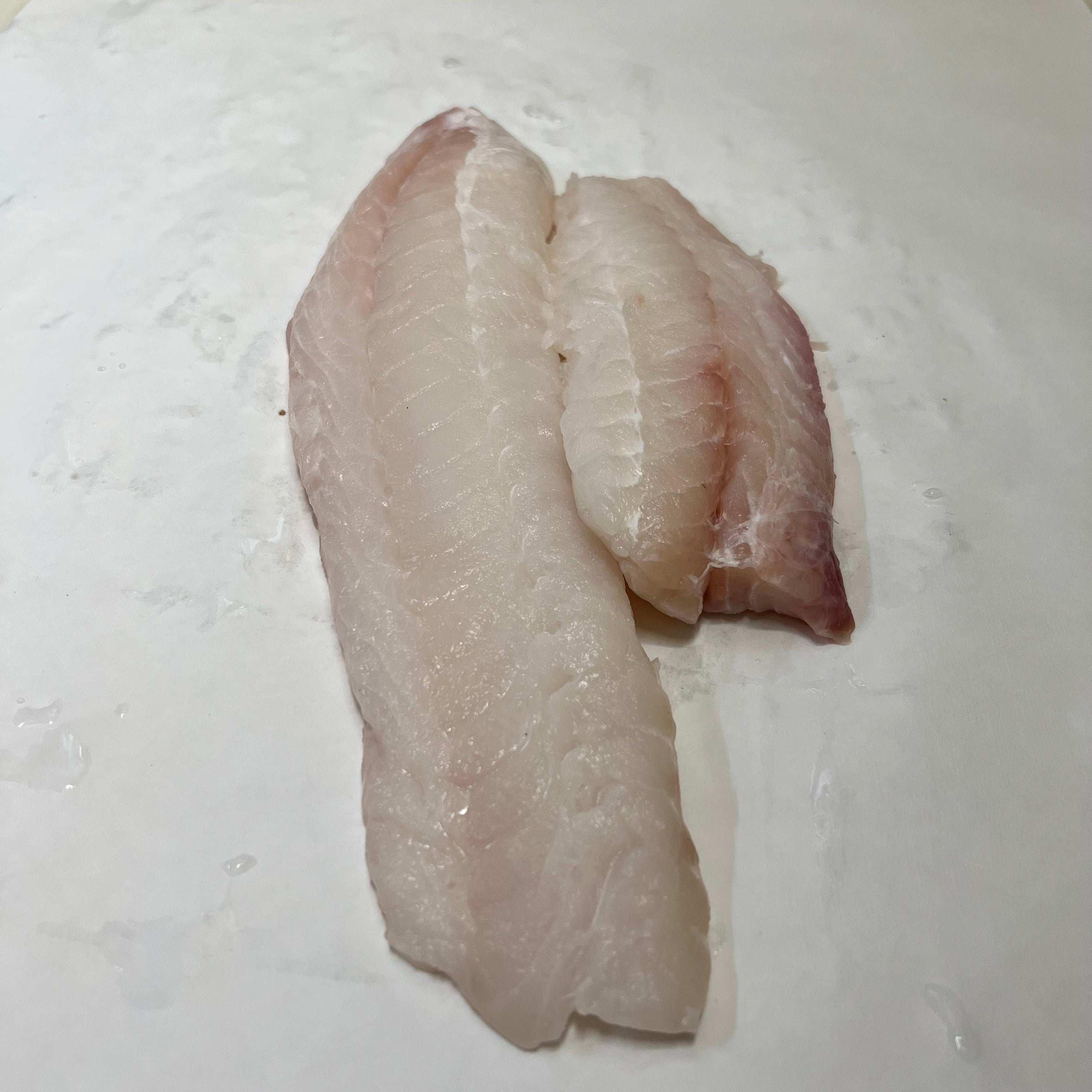 Fluke Rack Filet Fluke Flounder Filet – Wagshal's