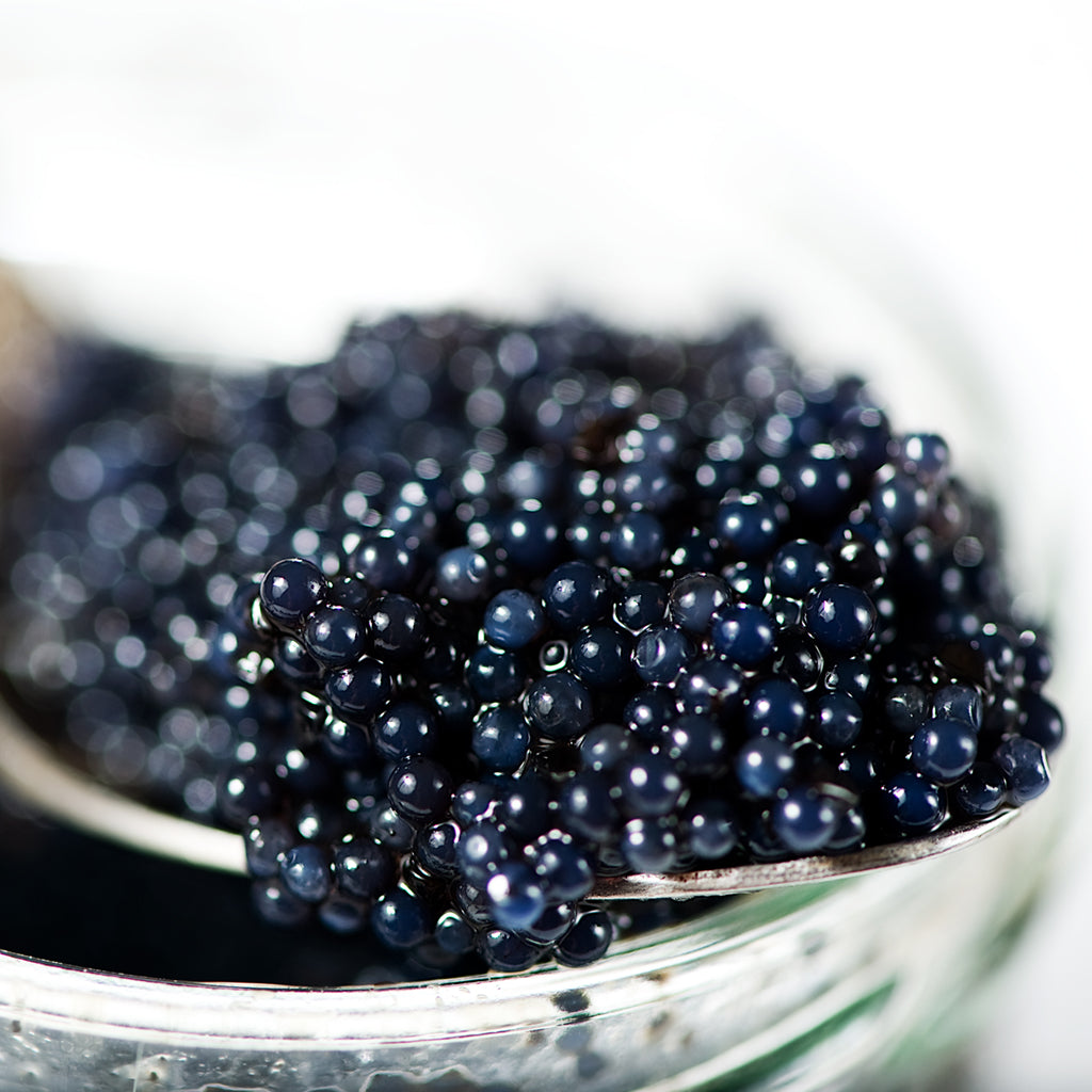 American Caviar-- Sturgeon and Ossetra