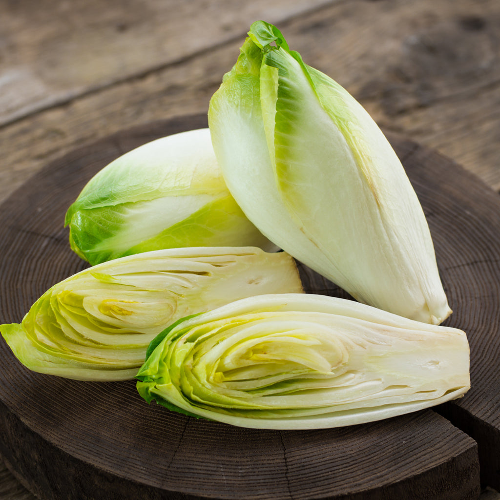 BELGIUM ENDIVE  (by the pound)