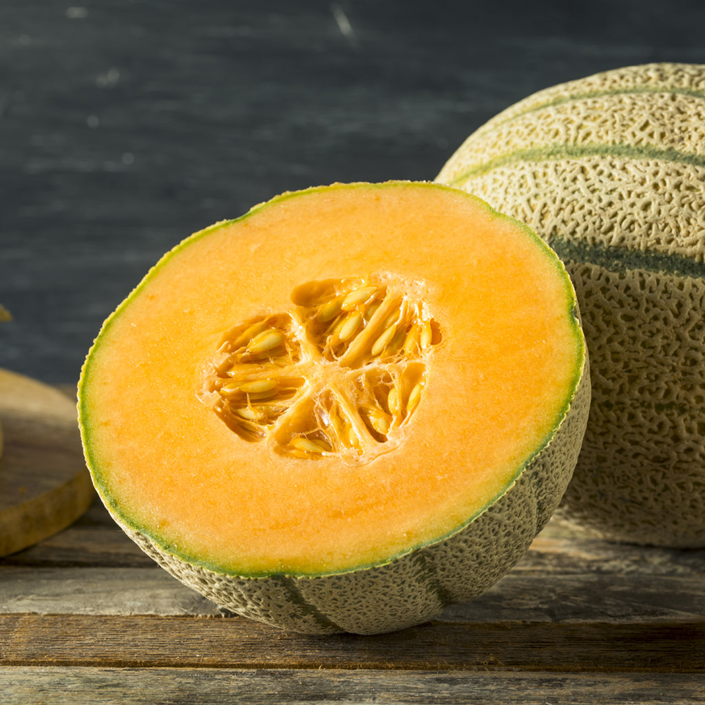 CANTALOUPE - Large (by the each)