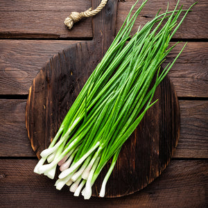 Green Onion (Scallions)