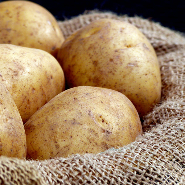 What Are Idaho Potatoes?