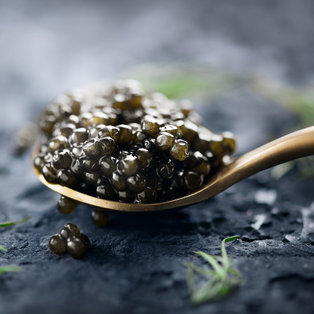 Imported Caviar-- Beluga and Golden Sturgeon (1 ounce)
