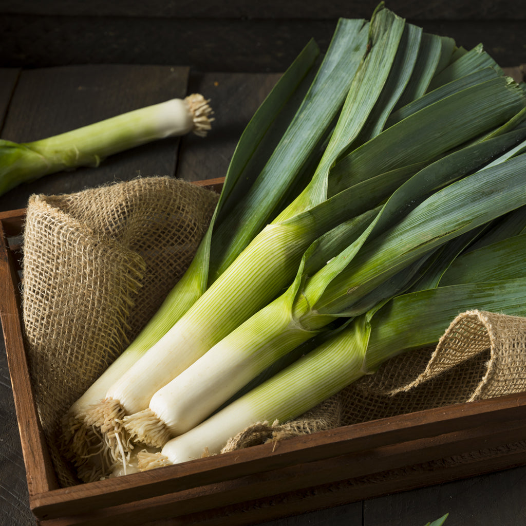 LEEKS (by the each)
