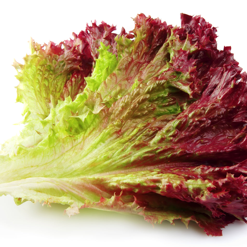 LETTUCE, RED LEAF (by the each)
