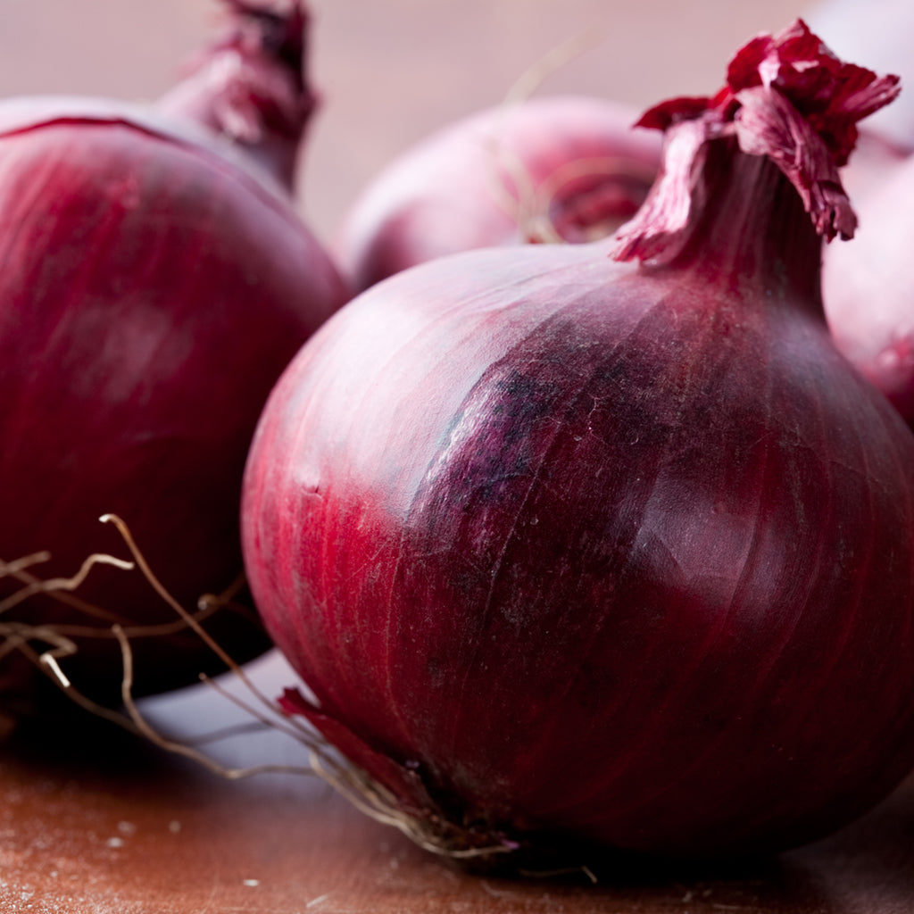 ONIONS, RED JUMBO  (by the pound)