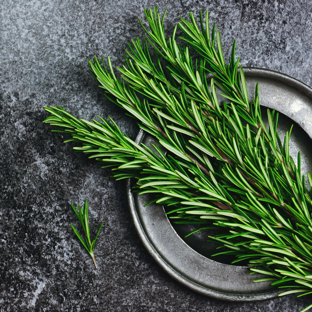 ROSEMARY (by the each)