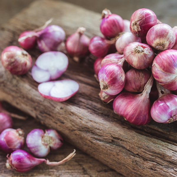  Shallots, 1 Pound, Freshly Harvested, Large to Medium Size,  Restaurant Qulaity, Great for cooking with a succulent flavor, a gourmet  delight.The amount of shallots depends on size & weight shallot. 