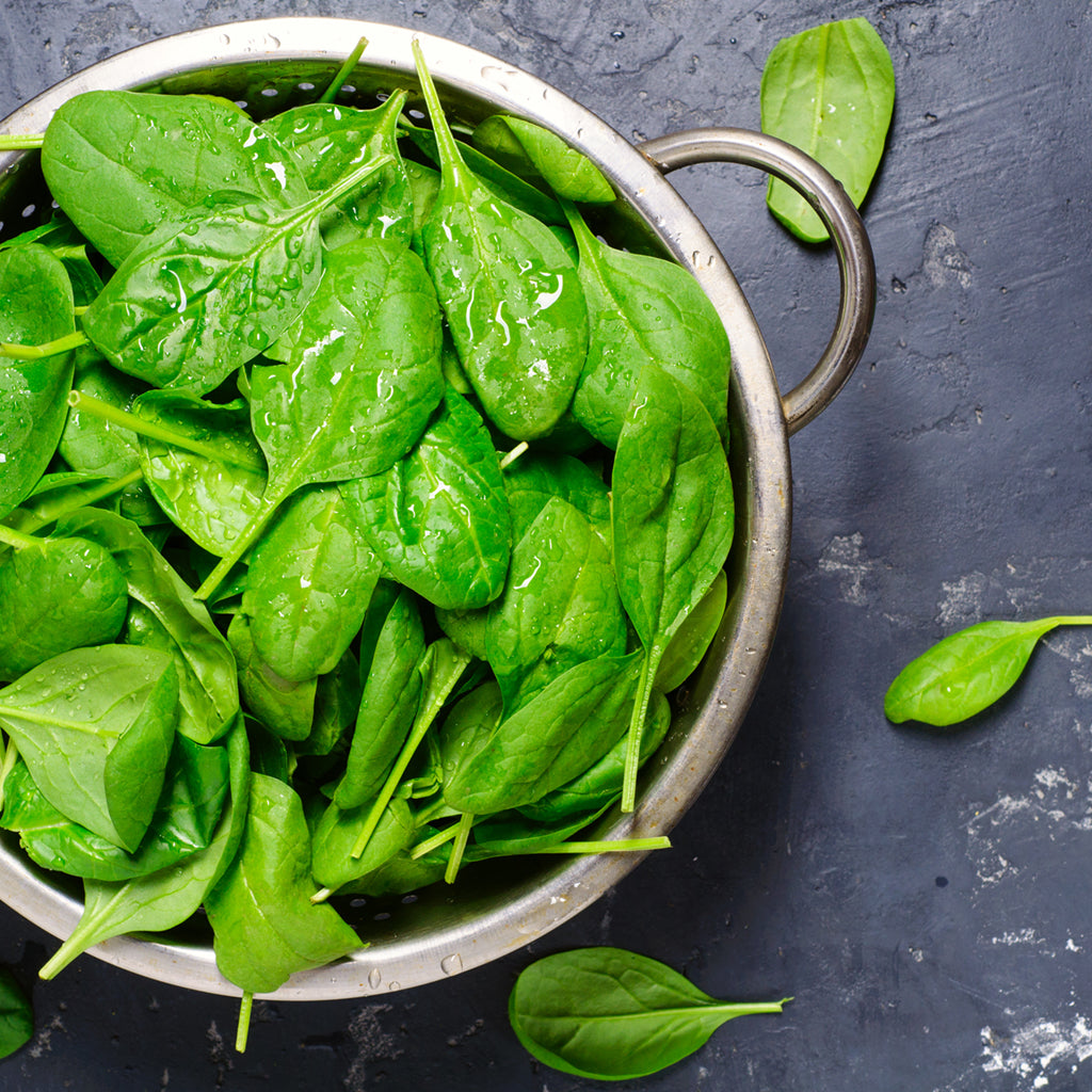 SPINACH, CELLO  (by the each)
