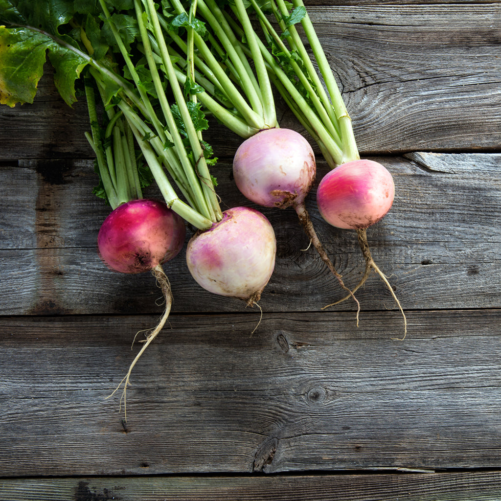 TURNIPS (by the pound)