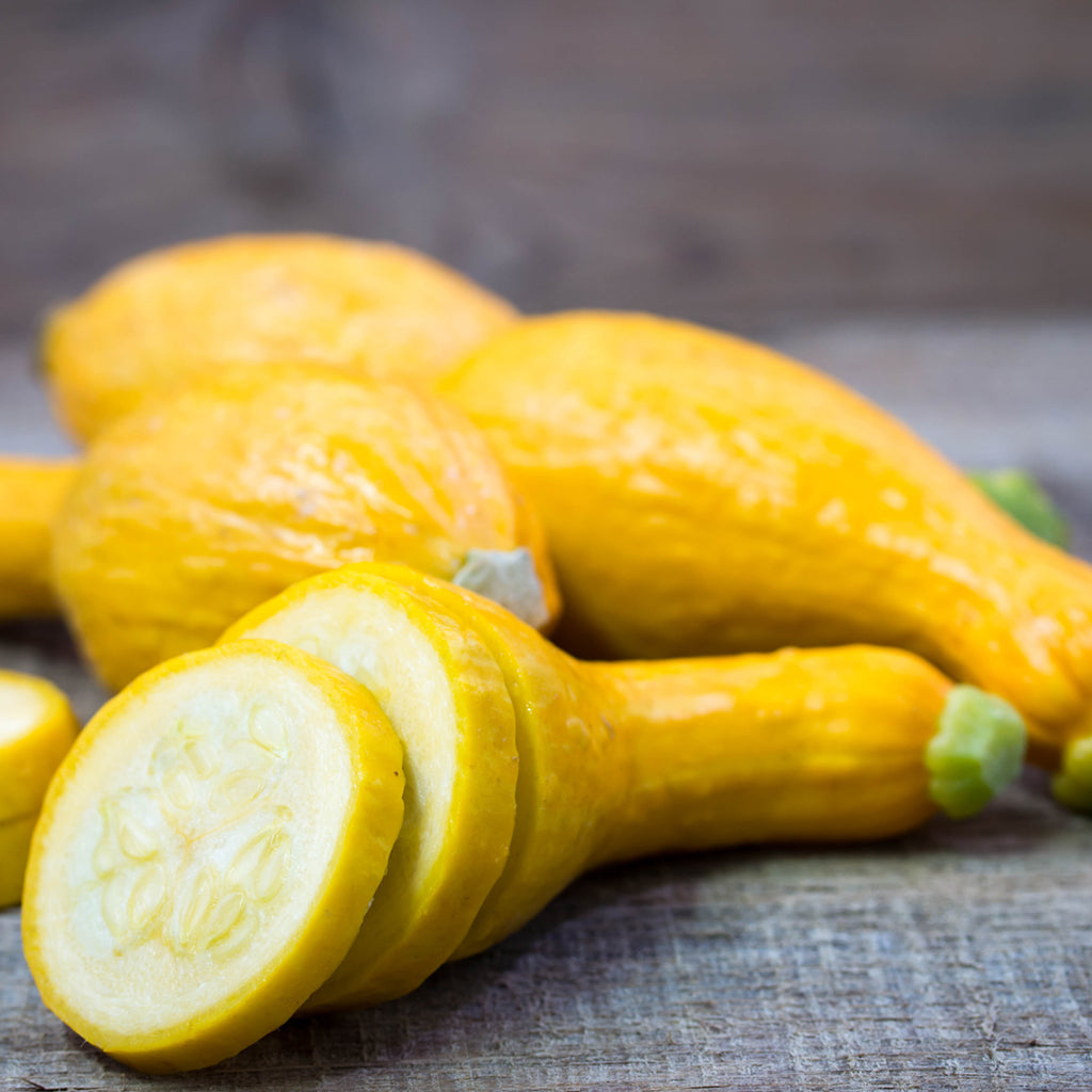 YELLOW SQUASH FANCY (by the pound)