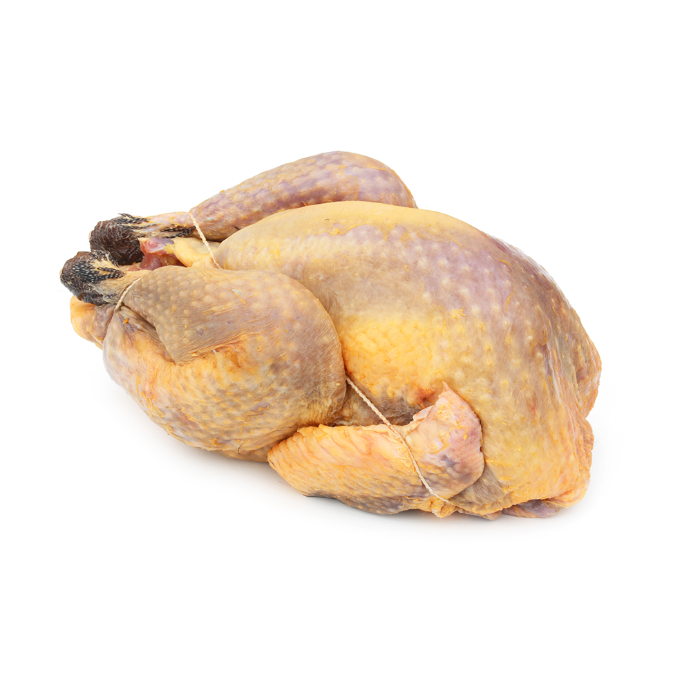 Guinea Hen