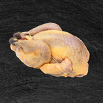 Guinea Hen