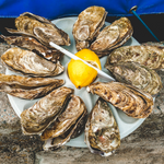 Oysters