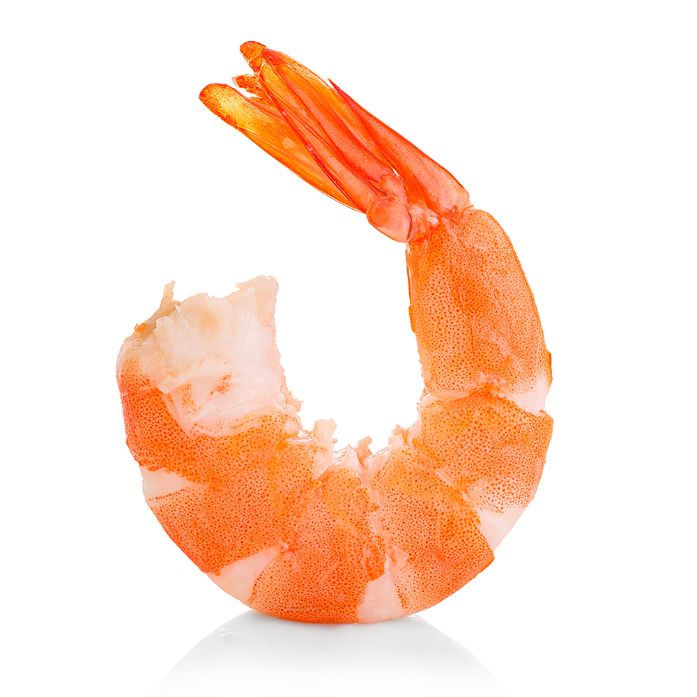 Cooked Jumbo Cocktail Shrimp