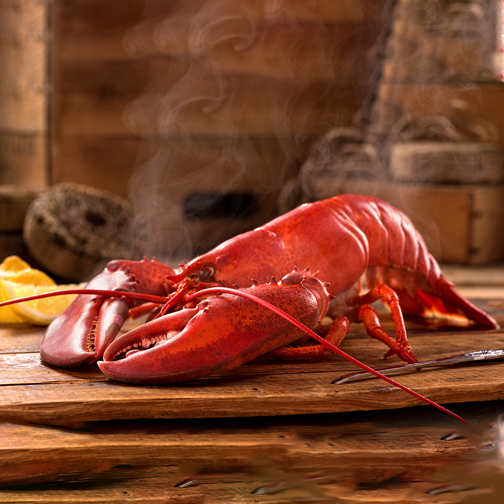 Whole Lobster - PICK UP IN STORE / NO DELIVERY – Wagshal's