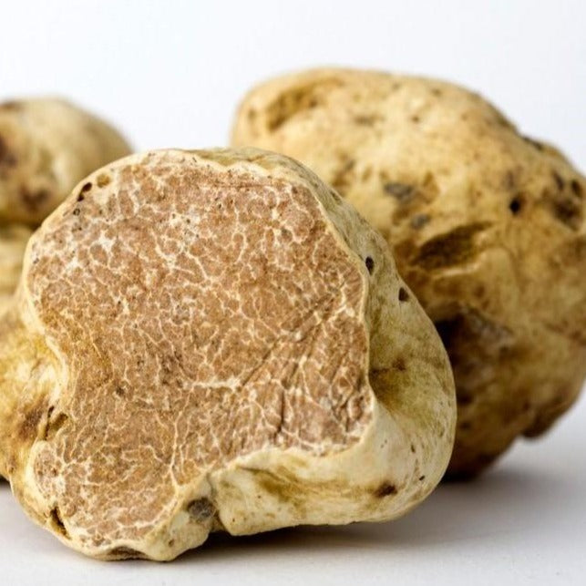 Winter White Truffle