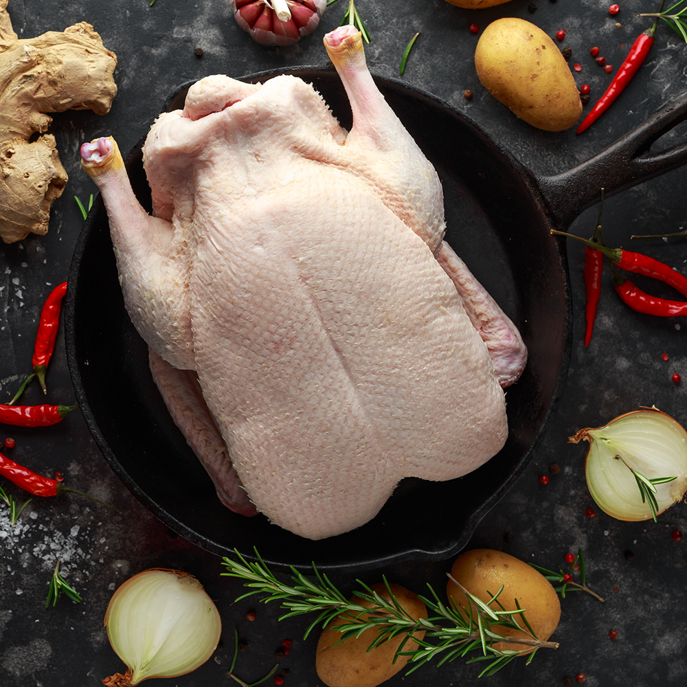 Fresh Duck Near Me Quality and Availability Tips Fresh Duck Near Me Quality and Availability Tips